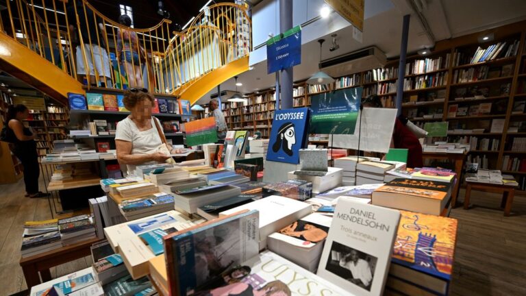 « L’Odyssée » de Nolan stimule les ventes de classiques grecs à Toulouse, notamment Homère.