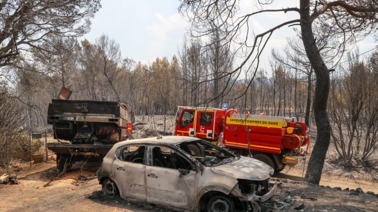 Incendie dans le Var : le parquet envisage des mises à feu volontaires comme cause