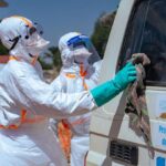 Ebola en RDC : une épidémie sans précédent stimule la recherche de traitements.