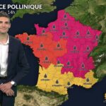 Fortes chaleurs sur la moitié nord, pic d&rsquo;urticacées et risque allergique accru.