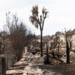 Incendies : Joseph Agostini alerte sur les conséquences psychologiques pour les victimes