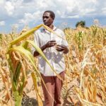 El Niño menace 49 millions de personnes de faim, le PAM renforce son aide humanitaire.