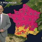 Canicule : risque allergique maximal de niveau 5 pour les urticacées en France lundi