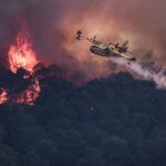 Feux de forêts : 17 départements en France classés en risque élevé ce lundi.