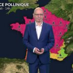 Risque maximal d’allergies aux urticacées en raison de la chaleur mercredi.