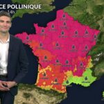 Indice pollinique élevé aux urticacées et à l&rsquo;ambroisie ce vendredi en France.