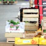 Fermeture d’un géant de l’alimentation à Castres pour non-conformité sanitaire