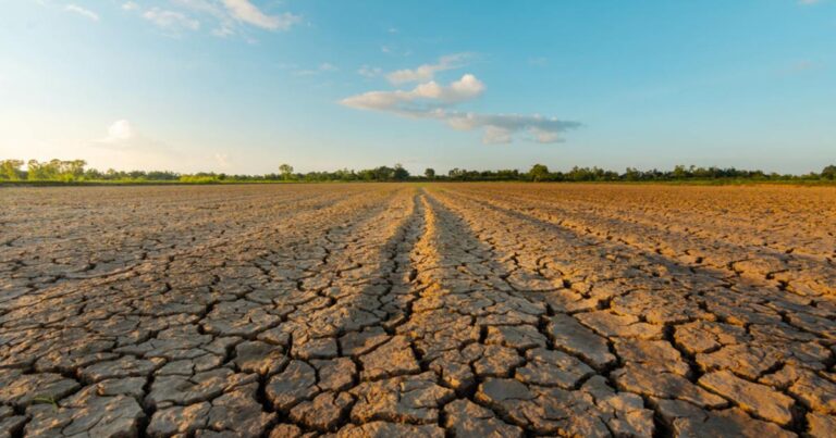 Sécheresse en France : la canicule aggrave la situation des ressources en eau