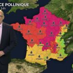 Alerte rouge aux pollens d&rsquo;urticacées dans le nord, risque de 5 pour la santé publique.