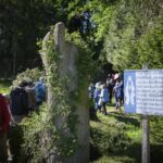 Des mystiques en mission pour faire connaître les prophètes contemporains face à l&rsquo;Église.