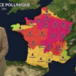 Risque maximal d’allergies aux pollens : urticacées et ambroisie en forte progression.
