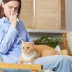 Pourquoi les chats provoquent-ils plus d&rsquo;allergies que les autres animaux de compagnie ?