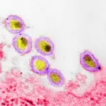 Podcast : Débat sur l’existence du virus du sida dans l’épisode 2 des rumeurs mondiales