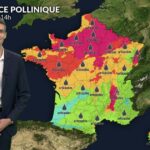 Pollens : pic d&rsquo;urticacées et alertes orageuses en France ce jeudi.