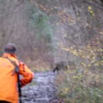 La préfecture du Var prévoit d&rsquo;interdire la chasse dans les zones boisées touchées par les incendies.