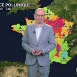 Alerte pollen maximale pour les urticacées, orages attendus dans le sud-est.
