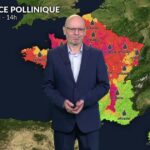 Alerte pollens : l’ambroisie et les urticacées dominent l’air dans le nord et l’est.
