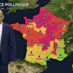 Alerte rouge pour les urticacées et l&rsquo;ambroisie dans le nord de la France sous un temps ensoleillé.
