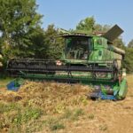 Cycle de la culture des betteraves : une tradition semencière en Albret et Lot-et-Garonne.
