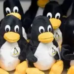 L’adoption de Linux comme système d’exploitation dans les administrations publiques augmente.