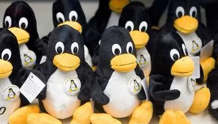 L’adoption de Linux comme système d’exploitation dans les administrations publiques augmente.