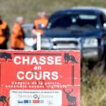 La chasse au sanglier reprend en avance dans les Alpes-Maritimes pour réguler la population.