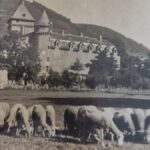Le château de Bouillac dans l&rsquo;Aveyron : récits historiques depuis l&rsquo;après-guerre de Cent Ans