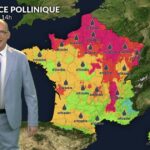 Orages et risque maximal 5 d&rsquo;urticacées et d&rsquo;ambroisie sur la moitié nord de la France.