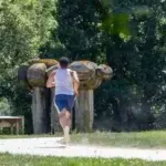 L&rsquo;IA se positionne comme coach sportif dans le secteur de la santé et du bien-être.