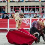 Clemente brille aux arènes de Saint-Gilles, Fortes renforce ses efforts dans l’événement.