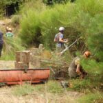 VVM développe des solutions d&rsquo;insertion pour les particuliers et la préservation de l&rsquo;environnement.