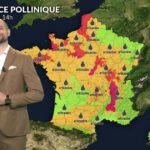 Pollens : l’ambroisie et les urticacées provoquent une hausse des allergies en France
