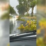 Orages dans l&rsquo;Hérault : deux blessés légers et de nombreux arbres sur les routes.
