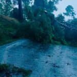 Orages en Provence : arbres tombés et toitures arrachées entraînent des dégâts.