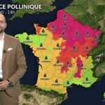 Pollens d&rsquo;urticacées et d&rsquo;ambroisie saturent l&rsquo;air dans le nord et l&rsquo;est de la France.
