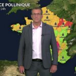 Météo instable et orageuse réduit les concentrations polliniques en France.