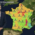Pollens : les urticacées persistent dans plusieurs régions ce vendredi.