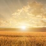 Canicule en septembre : la France confrontée à une nouvelle vague de chaleur possible