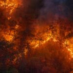 Indonésie : sécheresse et feux de forêt exacerbés par le phénomène El Niño