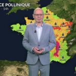 Alerte maximale à l&rsquo;ambroisie dans l&rsquo;Est et le Sud-Est, pluie bénéfique dans le Nord-Ouest
