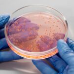 Légionellose en Savoie : un restaurant identifié comme source des contaminations mortelles