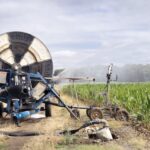 Sécheresse : l’irrigation comme solution face au manque d’eau en agriculture.