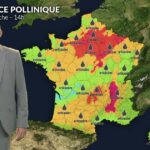 Alerte rouge aux pollens : ambroisie et urticacées dominent la moitié nord et l&rsquo;est du pays.