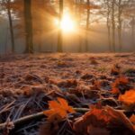 L&rsquo;automne météorologique commence avec des températures en baisse et des jours plus courts.
