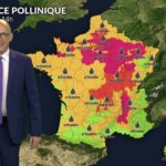 Alerte pollen : ambroisie et urticacées en forte concentration dans l&rsquo;air du Nord au Grand Est