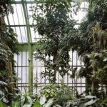 Muséum national d’histoire naturelle : un centre de recherche et de conservation en biodiversité.