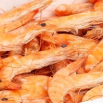 Rappel Consommateur – Détail Crevettes roses cuites étal poissonnerie Sans marque
