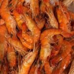 Crevettes entières cuites réfrigérées élevées à Madagscar – calibre 10/20 SX