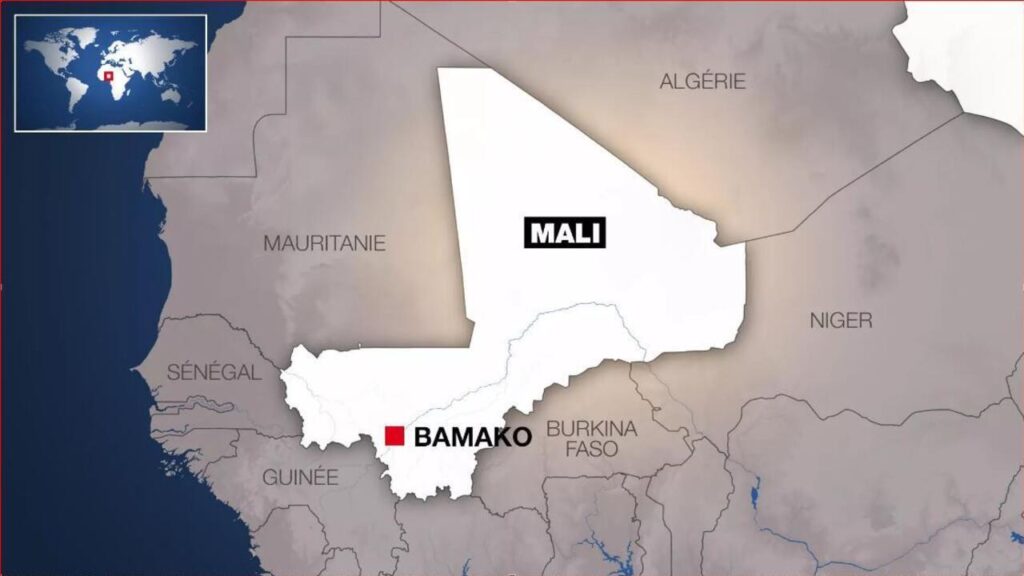 Libération de soldats maliens par les rebelles touaregs du FLA au Mali.