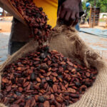 Côte d’Ivoire : organisations réclament des comptes sur l’enlèvement des stocks de cacao.